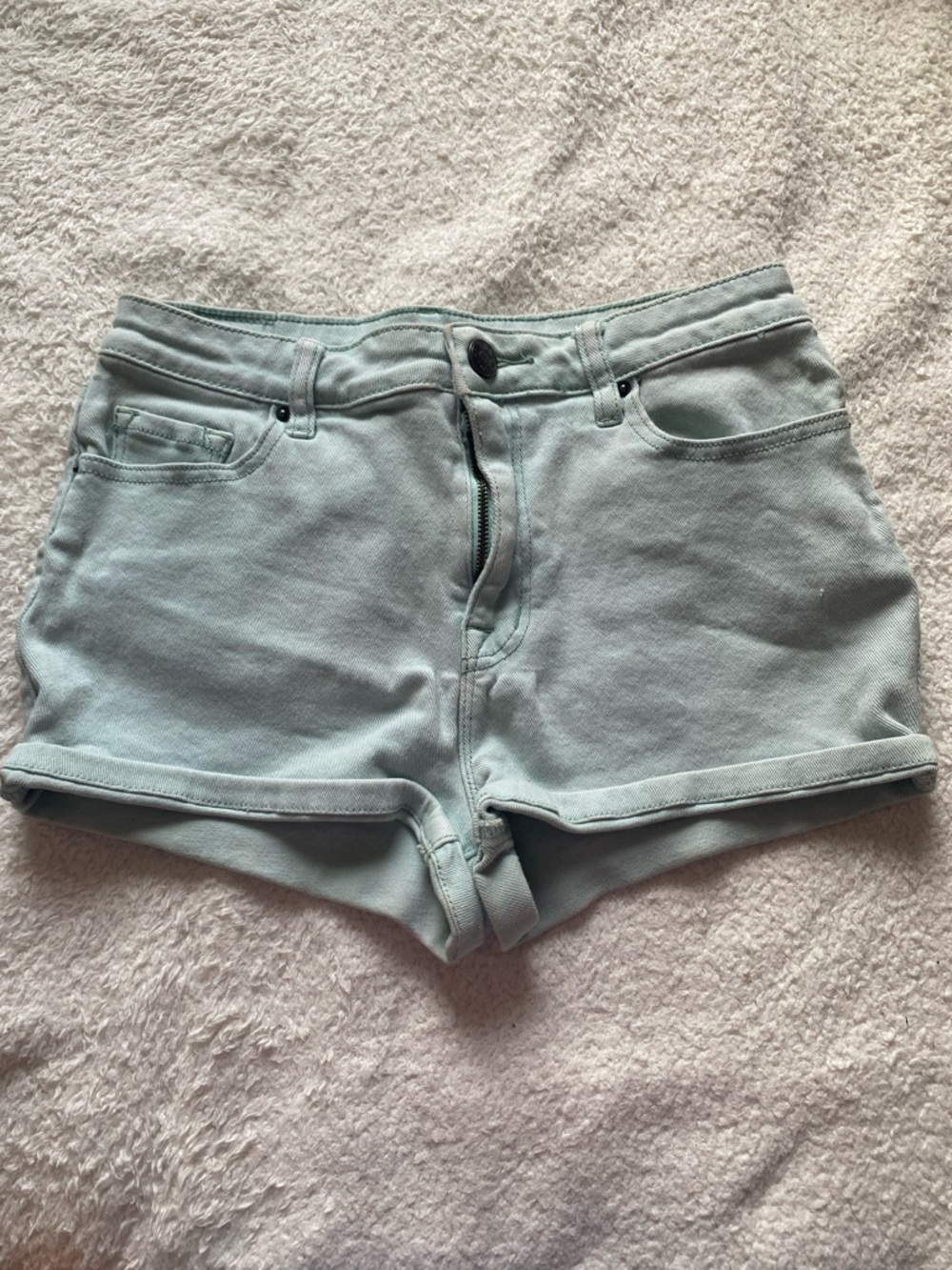 Urban Outfitters BDG shorts Erin
